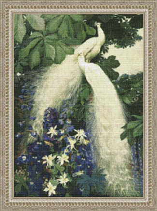 White Peacock Garden